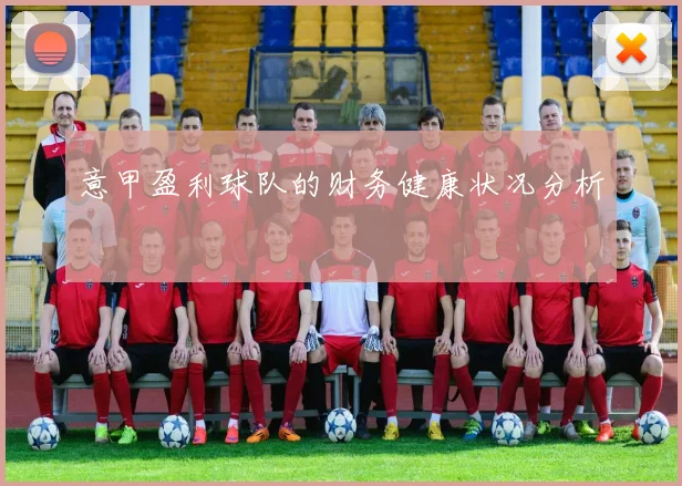 意甲盈利球队的财务健康状况分析