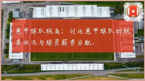 意甲球队税高：讨论意甲球队的税务状况与球员薪资分配。
