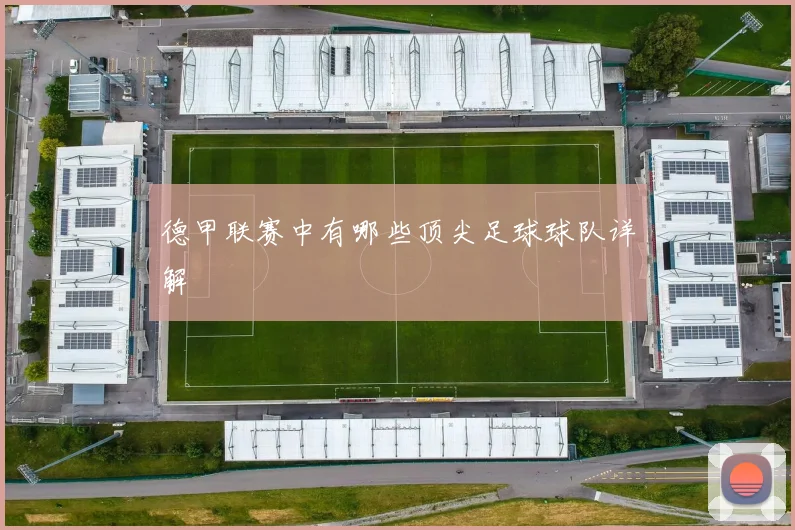 德甲联赛中有哪些顶尖足球球队详解