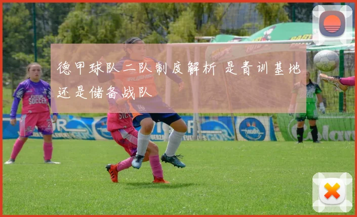德甲球队二队制度解析 是青训基地还是储备战队