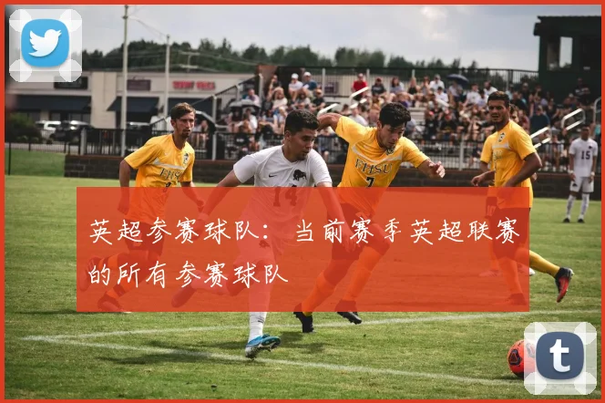 英超参赛球队：当前赛季英超联赛的所有参赛球队