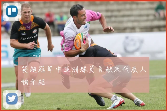 英超冠军中亚洲球员贡献及代表人物介绍